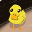 ducky's pfp